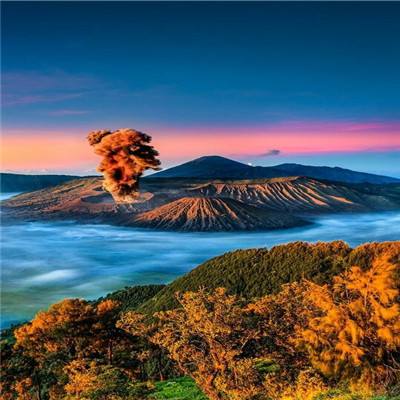 寻仙问情记变态版下载